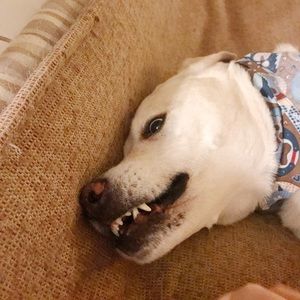 Welcome to my Closet (Bullet Points)